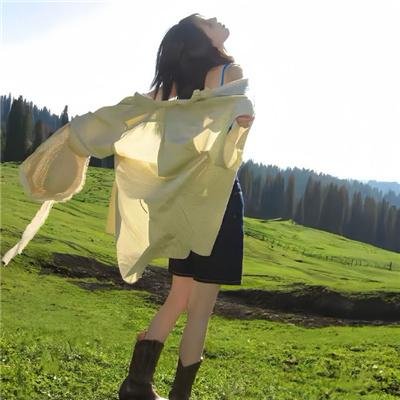 森林里的熊先生